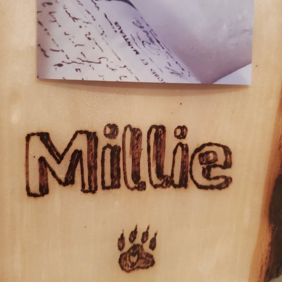 Custom Made Wood Burned Picture Frame, 8 x 11 w/clip, Handmade Pet Frame - Picture 6 of 6